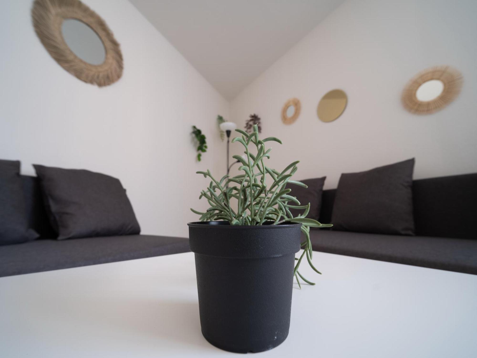 Appartement Tout Equipe A 6Min De La Gare St Charles Marseille Exteriér fotografie